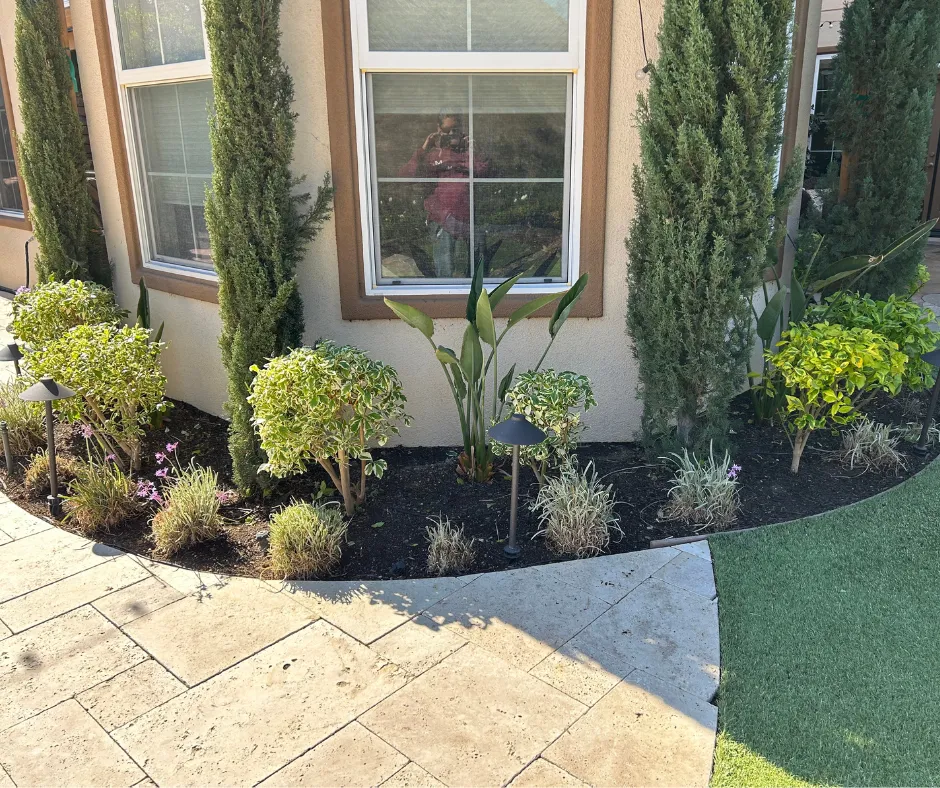 Landscape installation